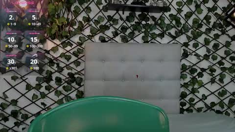 Rous online show from 02.01.25