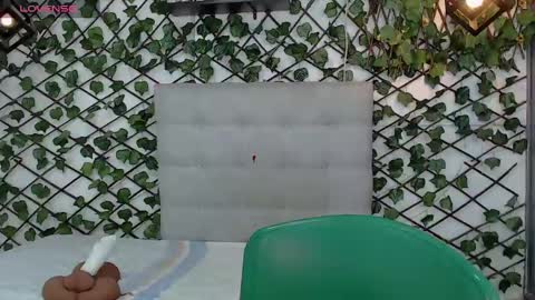 Rous online show from 03.01.25