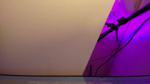 Roxane online show from 03.03.26