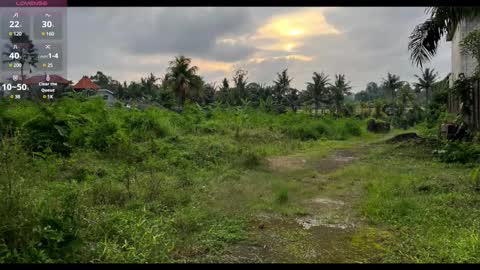 Paul online show from 02.22.25