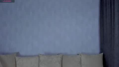  MiR  online show from 01.14.26