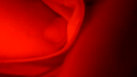 ryucravenmore online show from 10.05.25