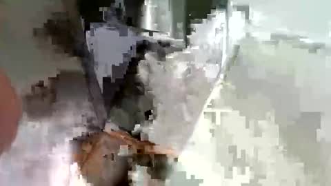 ryucravenmore online show from 10.14.25