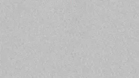 Snapshot of s_u_n_r_i_s_e_e chatting on 10.06.25 Leslie Beltrn online show from 10.06.25