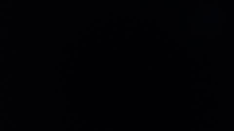 samanta online show from 12.27.24