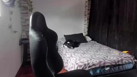 Danny online show from 11.02.25