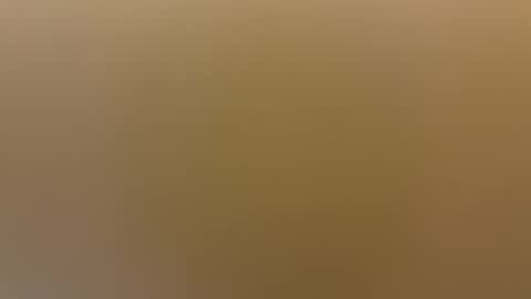 saconuts online show from 04.19.26