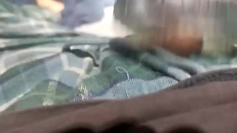 sagozure online show from 10.05.25