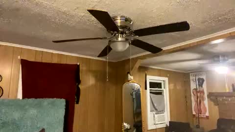 Snapshot of sailaway9694 chatting on 10.10.25 PupTwink online show from 10.10.25