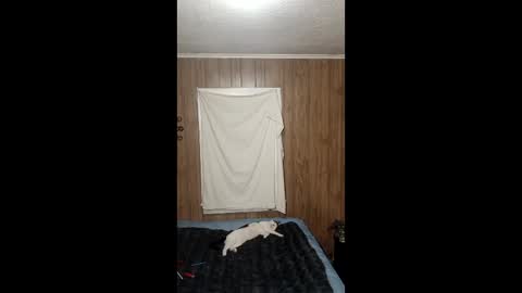 Snapshot of sailaway9694 chatting on 02.03.26 PupTwink online show from 02.03.26