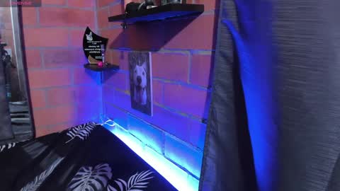 sainix_ online show from 12.18.24