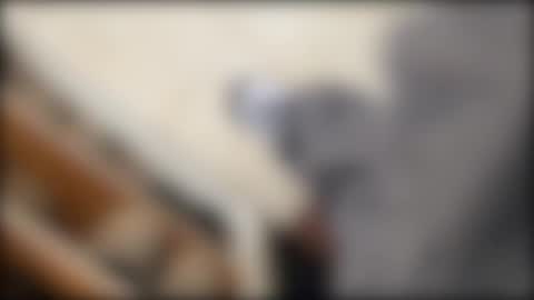 salgemma online show from 03.02.26