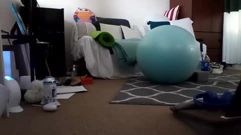 salis1981 online show from 02.25.25