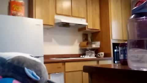 salis1981 online show from 12.18.25