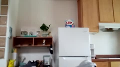 Snapshot of salis1981 chatting on 02.09.26 salis1981 online show from 02.09.26