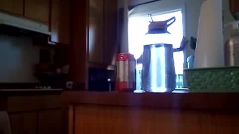 Snapshot of salis1981 chatting on 02.12.26 salis1981 online show from 02.12.26