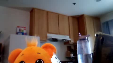 Snapshot of salis1981 chatting on 02.19.26 salis1981 online show from 02.19.26