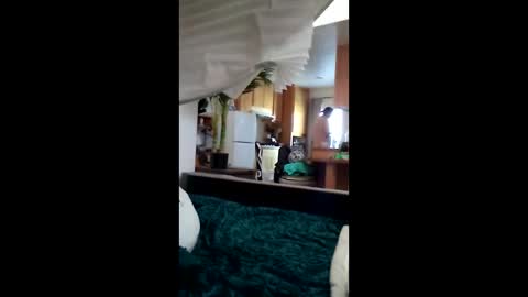 Snapshot of salis1981 chatting on 03.12.26 salis1981 online show from 03.12.26