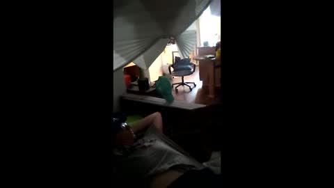 Snapshot of salis1981 chatting on 03.21.26 salis1981 online show from 03.21.26