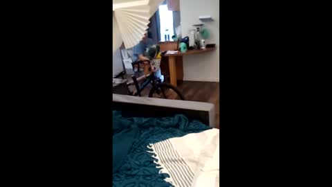 Snapshot of salis1981 chatting on 04.02.26 salis1981 online show from 04.02.26