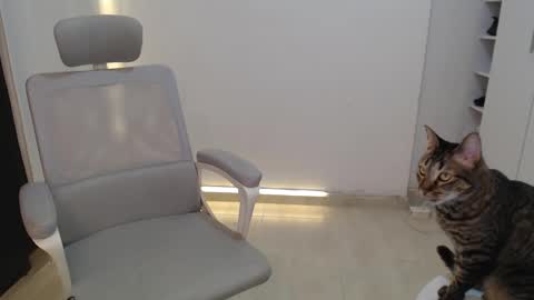 Salome online show from 10.19.25