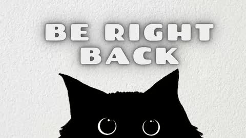 Salome online show from 01.14.26