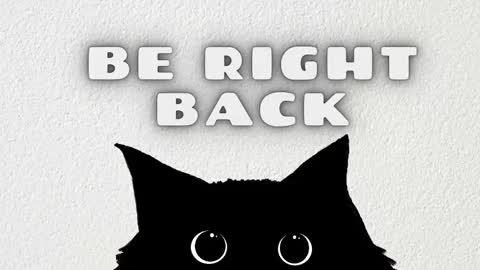 Salome online show from 01.17.26