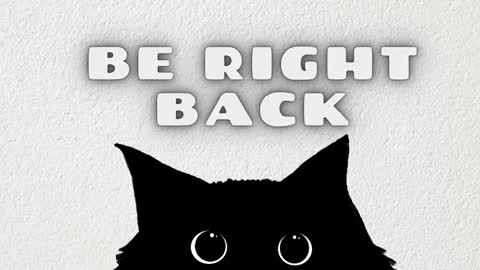 Salome online show from 02.28.26