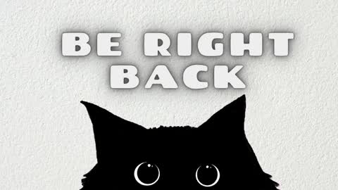 Salome online show from 04.01.26