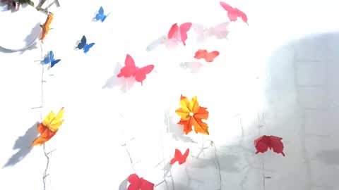 SALVAJE online show from 12.22.24