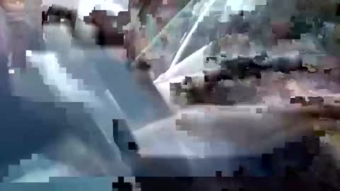 sam223382879 online show from 12.25.24