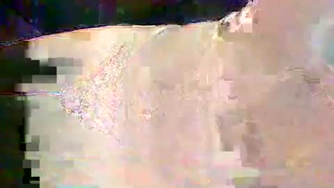 sam5554401727 online show from 02.25.26