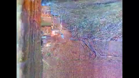 sam5554401727 online show from 04.26.26