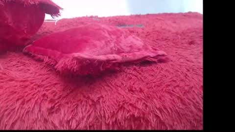 samael_leviatan online show from 03.08.25