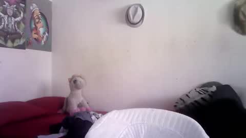 sammy_mcklain online show from 03.01.26