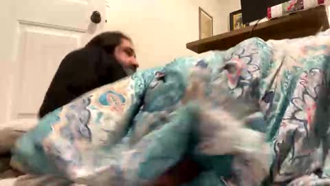 crazy runt online show from 12.17.25