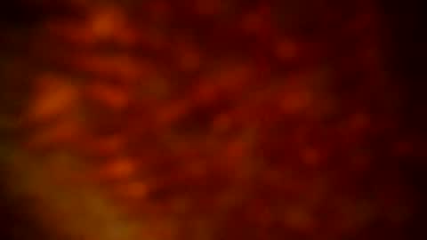 samueltal online show from 09.22.25