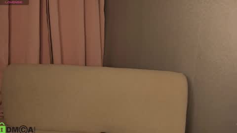 Snapshot of samy_bae chatting on 02.17.25 Samantha online show from 02.17.25