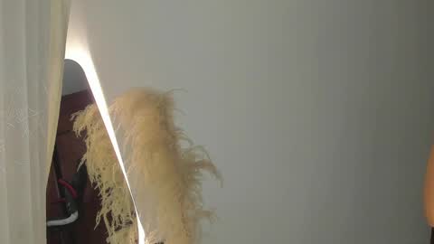 Hello I am absent due to a family calamity I will return soon-hola estoy ausente por un problema familiar volvere pronto. online show from 02.19.25