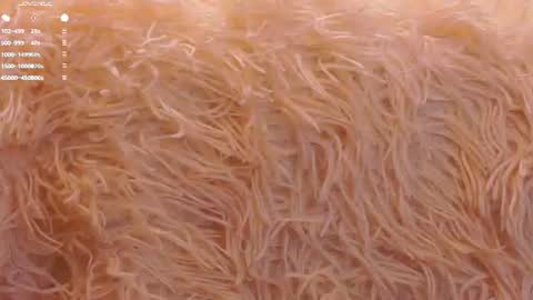 Isabel but you can call me Bella online show from 07.07.26