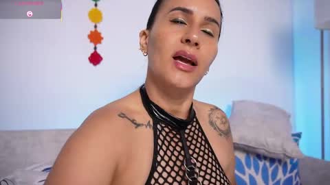   online show from 03.13.26