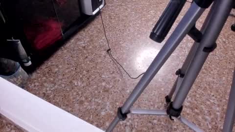 sara_salgado online show from 02.23.26