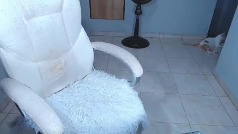 Sara online show from 02.15.26