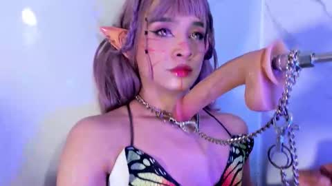    online show from 02.20.26