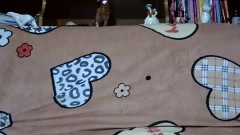 Sarra online show from 12.02.24