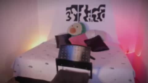 Sara online show from 11.25.25