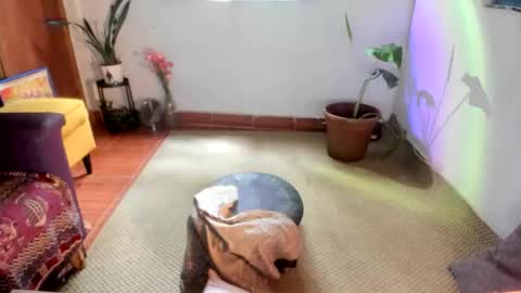 Ms. Oh   online show from 01.15.26