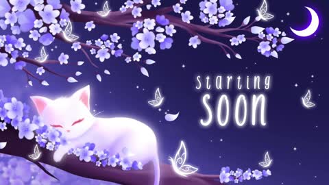 Sassy Sami Kittyn online show from 01.03.25