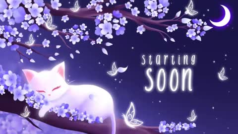 Sassy Sami Kittyn online show from 02.17.25