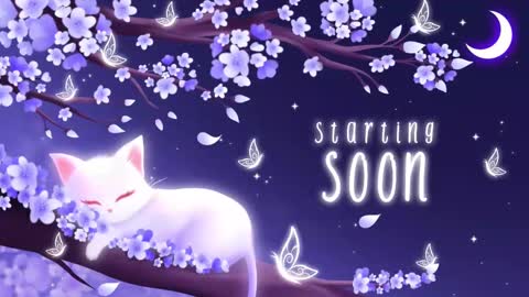 Sassy Sami Kittyn online show from 09.22.25